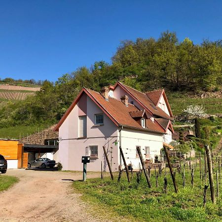 Le Gite Du Sommerberg Niedermorschwihr Εξωτερικό φωτογραφία